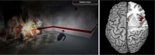 Anatomical correlates of prosocial behaviour