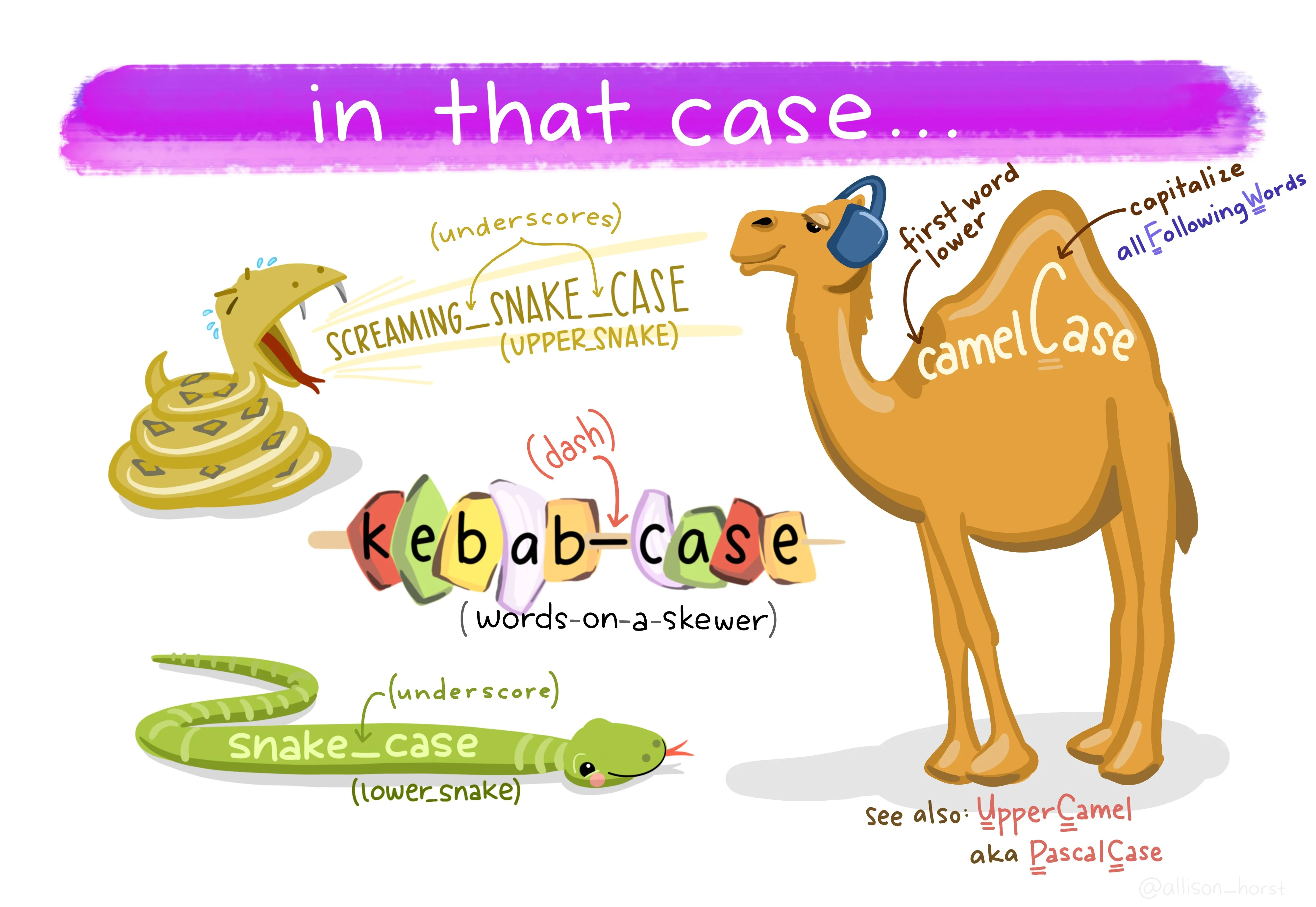 An illustration showing casing conventions used for software development.